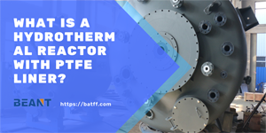 What is a Hydrothermal Reactor with PTFE Liner?